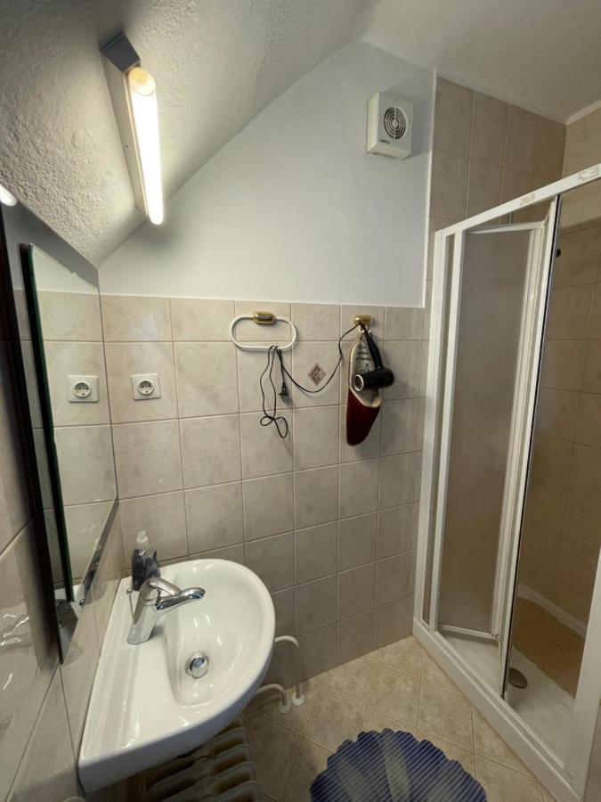 Apartments And Rooms Razen 博希尼 外观 照片